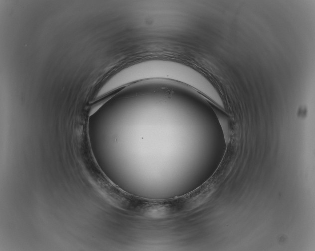 X0000091980456200709271430