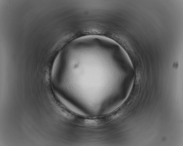 X0000091980457200709271430