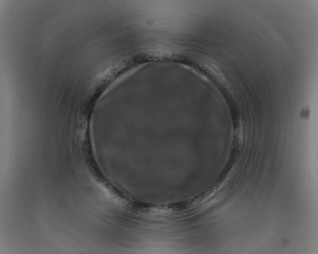 X0000091980458200709271430