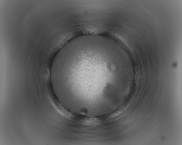 X0000091980459200709271430