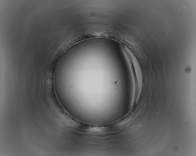 X0000091980461200709271430