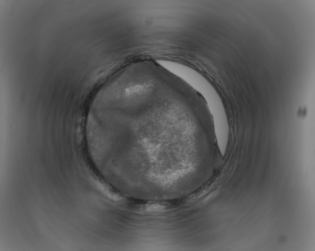 X0000091980462200709271430