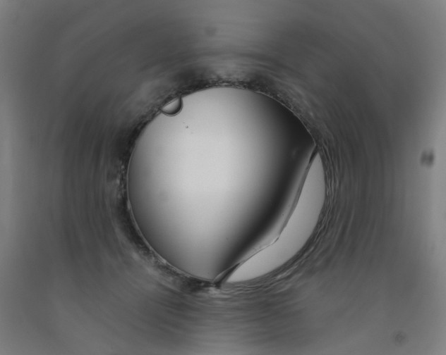 X0000091980464200709271430