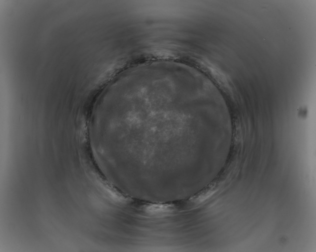 X0000091980465200709271430