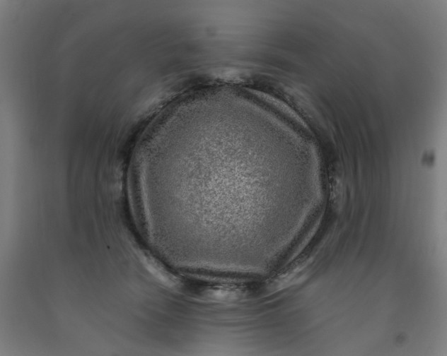 X0000091980466200709271430