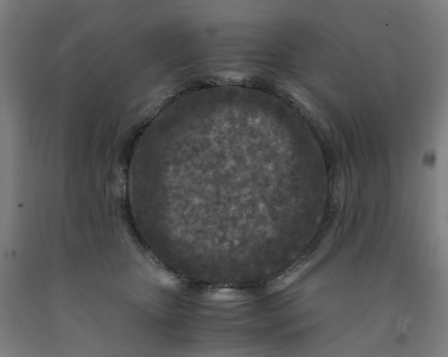 X0000091980467200709271430
