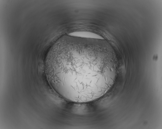 X0000091980469200709271430