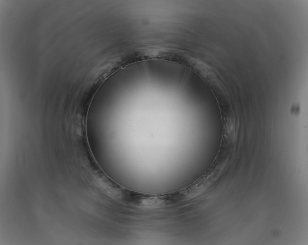 X0000091980470200709271430