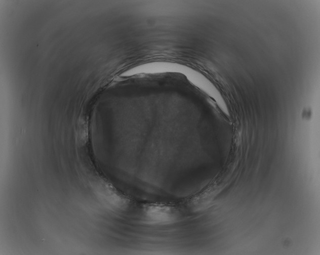 X0000091980471200709271430