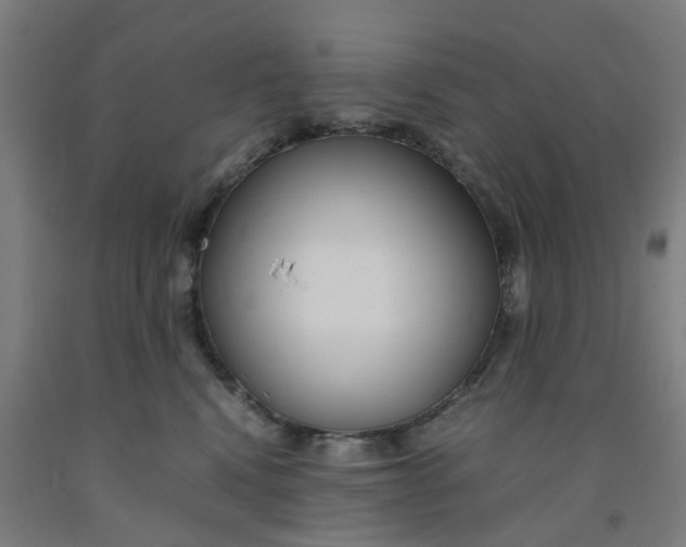 X0000091980472200709271431