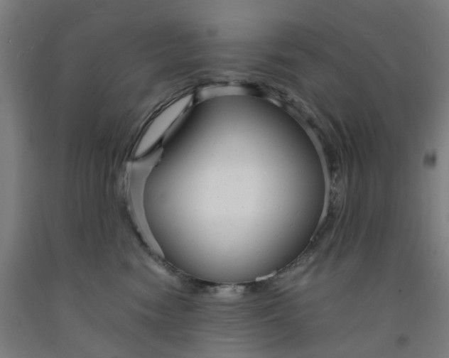X0000091980474200709271431