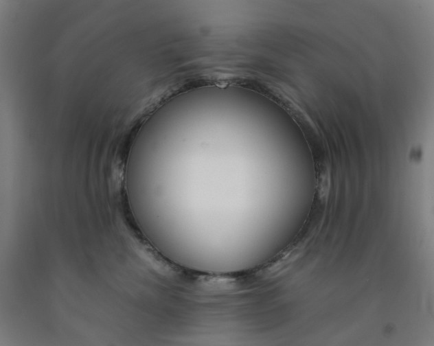 X0000091980476200709271431