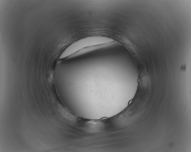 X0000091980477200709271431