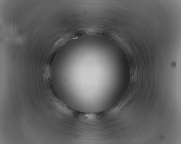 X0000091980478200709271431