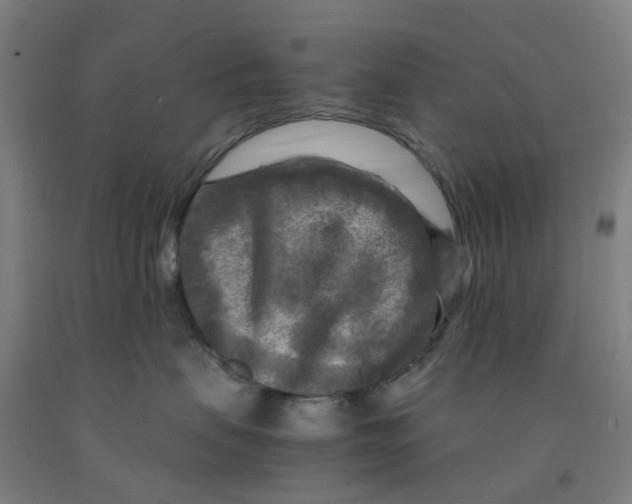 X0000091980479200709271431