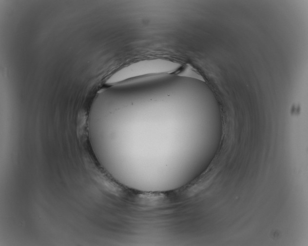 X0000091980480200709271431
