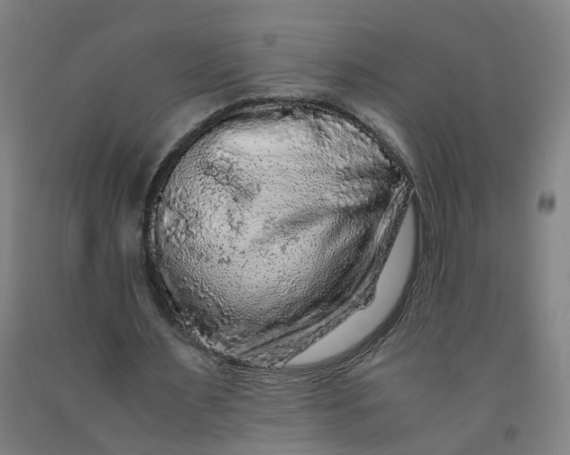 X0000091980483200709271430