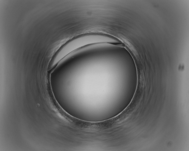X0000091980485200709271430
