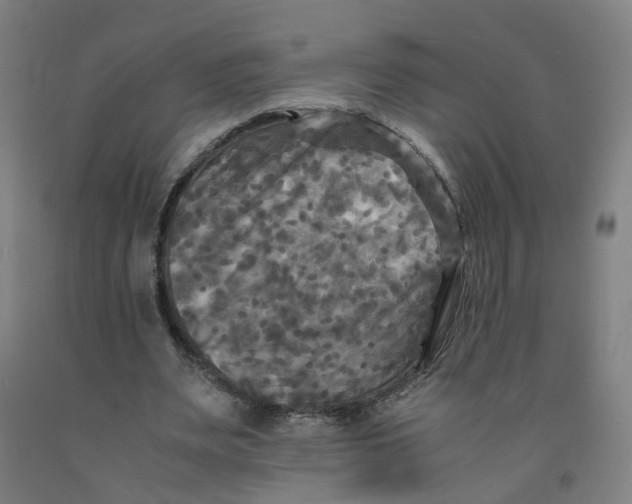 X0000091980487200709271430