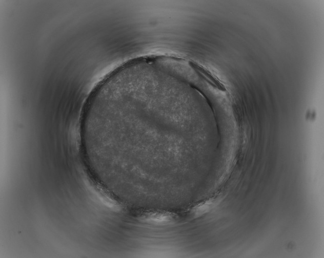 X0000091980488200709271430