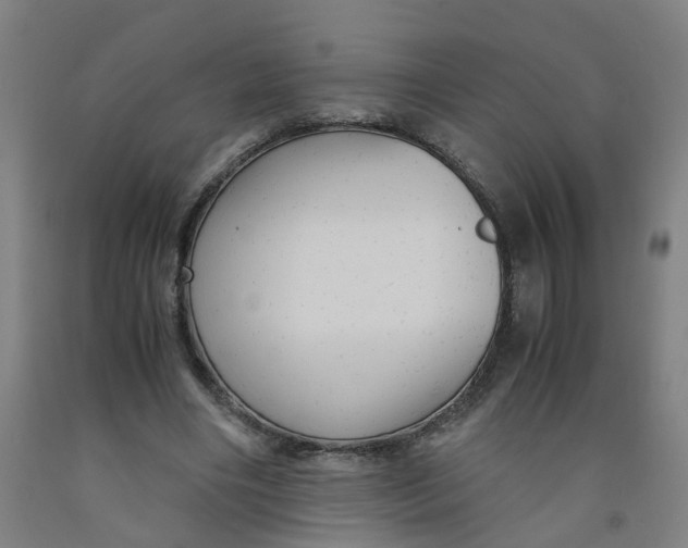 X0000091980490200709271430