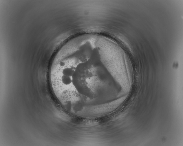 X0000091980491200709271430