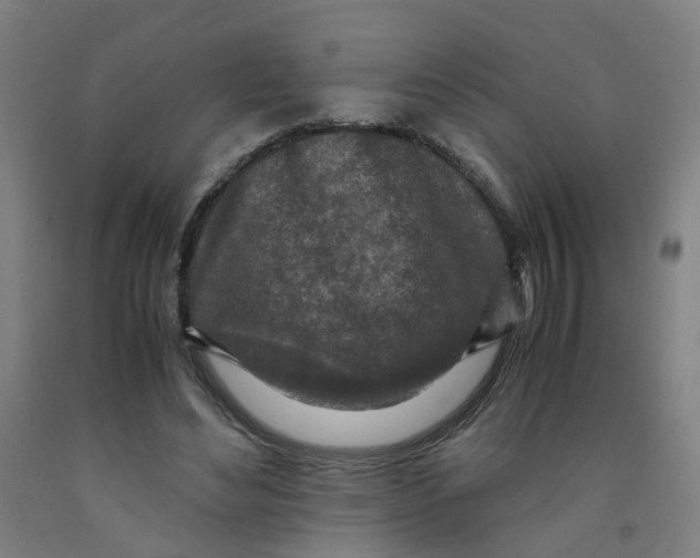 X0000091980492200709271430
