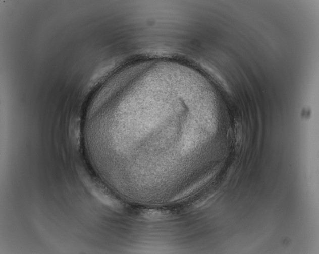 X0000091980494200709271430