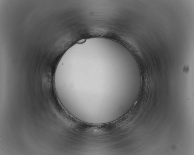 X0000091980498200709271430