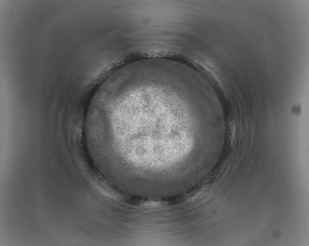 X0000091980499200709271430