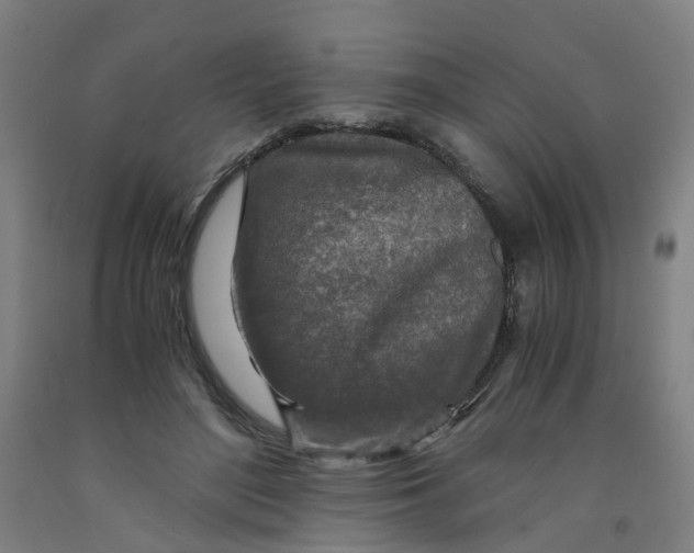 X0000091980500200709271430