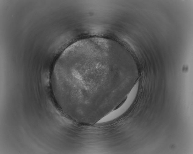 X0000091980502200709271430