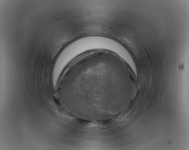 X0000091980504200709271430