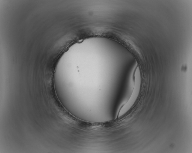 X0000091980505200709271430