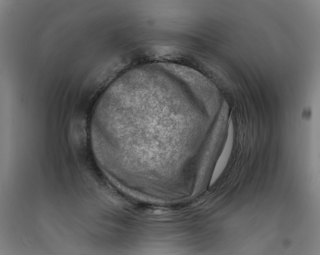 X0000091980506200709271430
