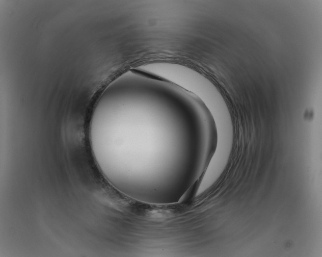 X0000091980508200709271430
