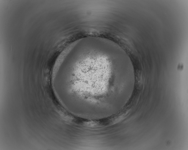 X0000091980511200709271430