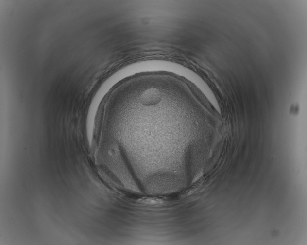 X0000091980512200709271430