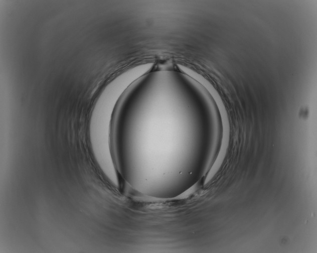 X0000091980516200709271430