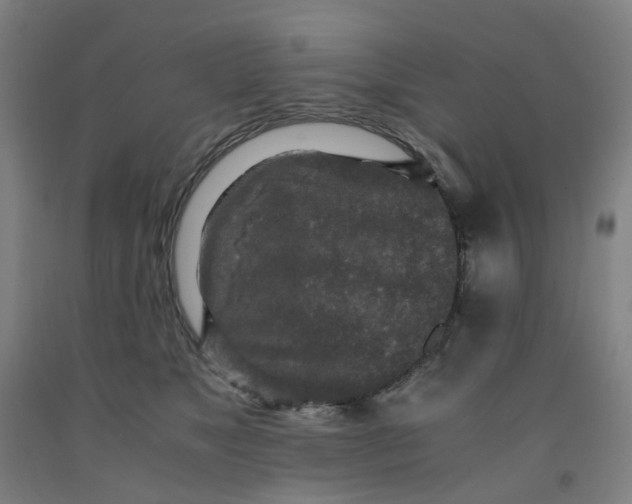 X0000091980517200709271430