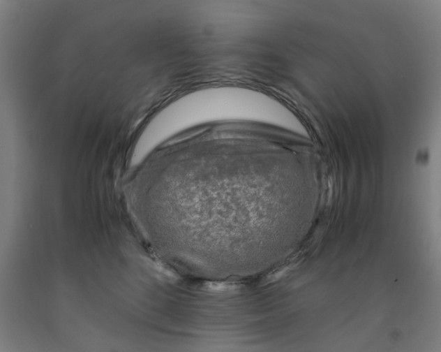 X0000091980520200709271430