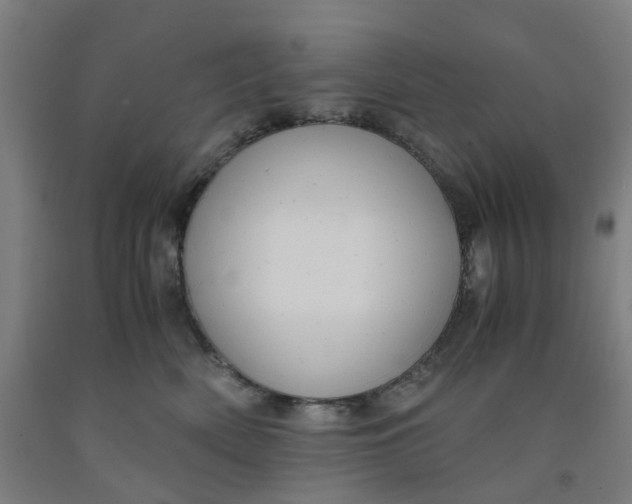 X0000091980522200709271429
