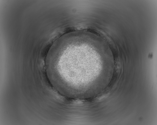 X0000091980523200709271429