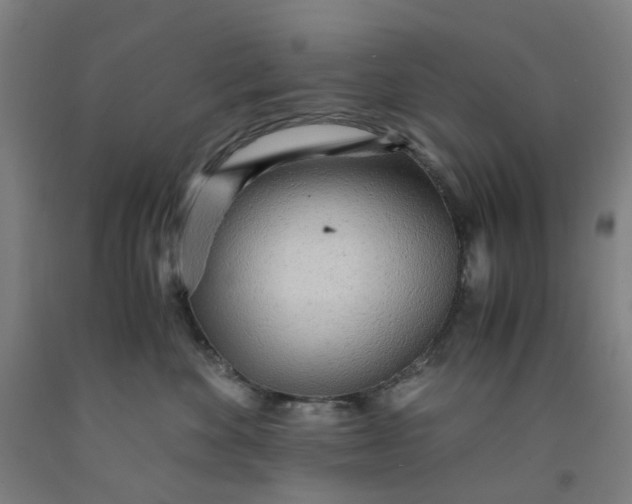 X0000091980524200709271429