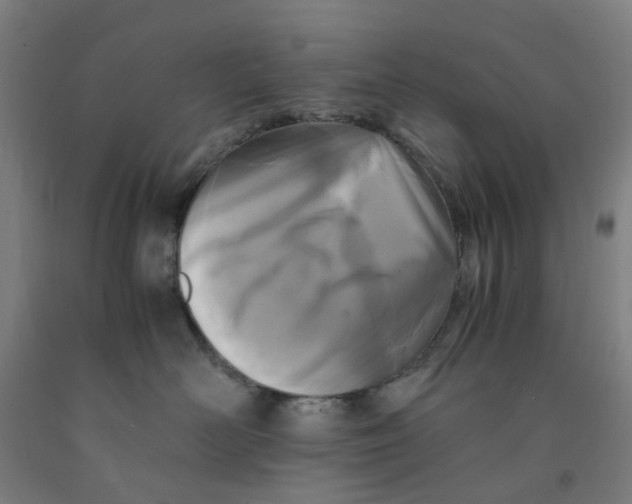 X0000091980526200709271429