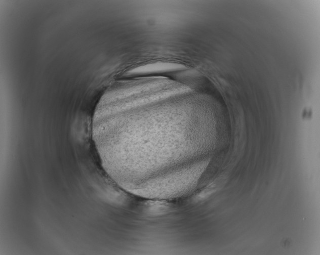 X0000091980528200709271429