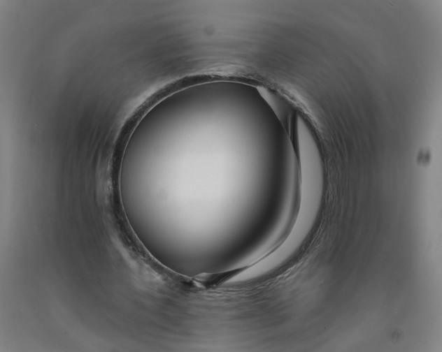 X0000091980532200709271429
