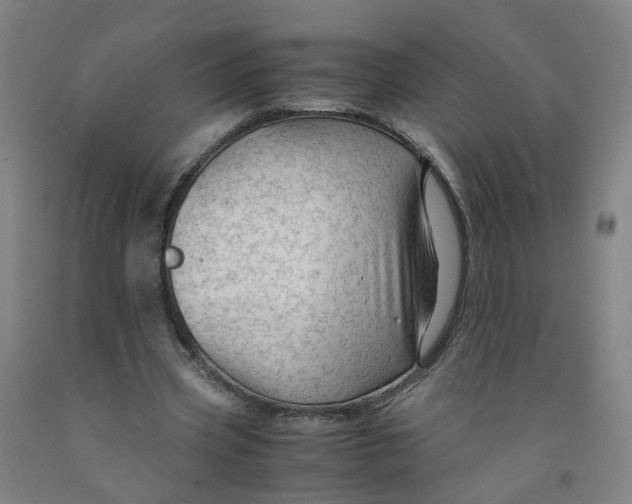 X0000091980533200709271429