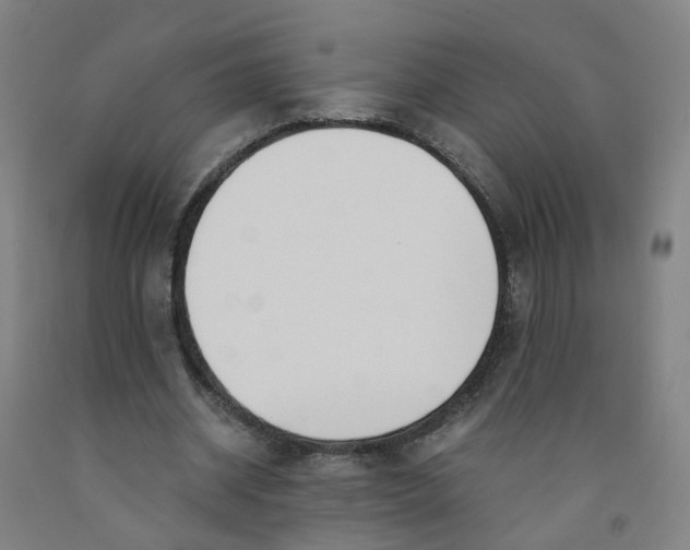 X0000091980534200709271429
