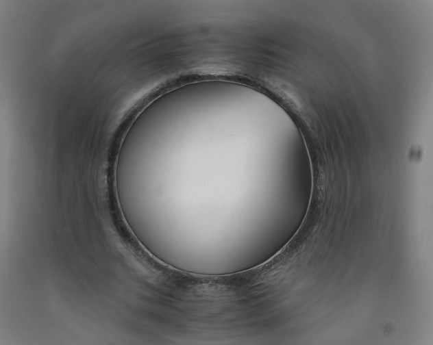 X0000091980535200709271429